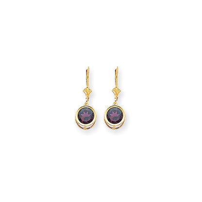 14k Yellow Gold 8mm Rhodolite Garnet Leverback Earrings