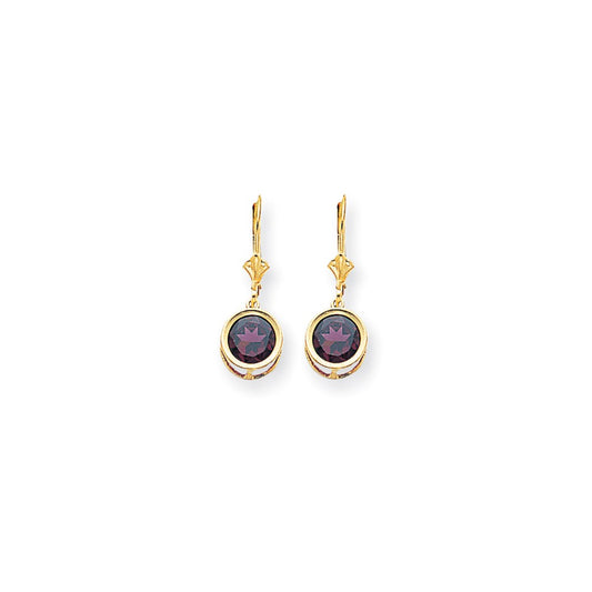 14k Yellow Gold 8mm Rhodolite Garnet Leverback Earrings