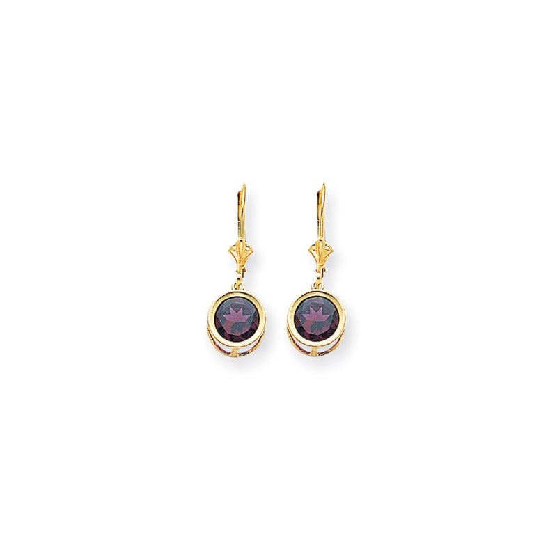 14k Yellow Gold 8mm Rhodolite Garnet Leverback Earrings