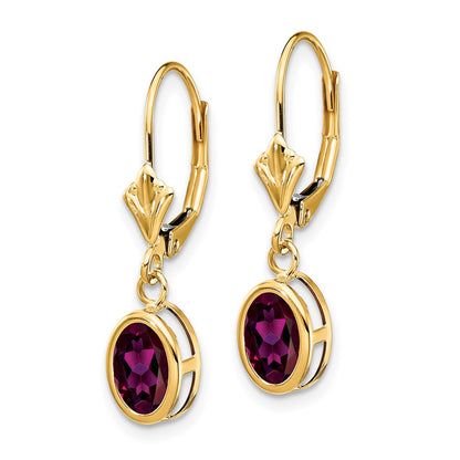 14k Yellow Gold 7x5mm Oval Rhodolite Garnet Leverback Earrings