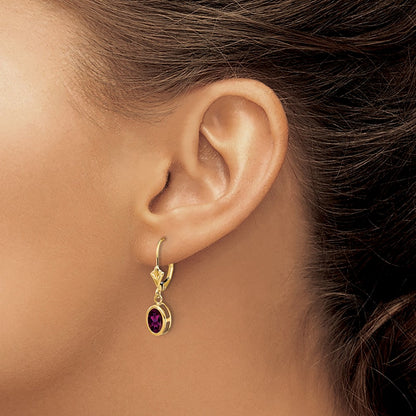 14k Yellow Gold 7x5mm Oval Rhodolite Garnet Leverback Earrings