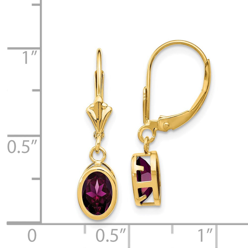 14k Yellow Gold 7x5mm Oval Rhodolite Garnet Leverback Earrings