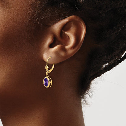 14k Yellow Gold 8x6mm Oval Amethyst Leverback Earrings