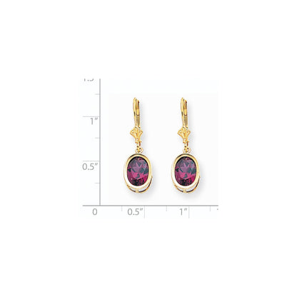 14k Yellow Gold 9x7mm Oval Rhodolite Garnet Leverback Earrings