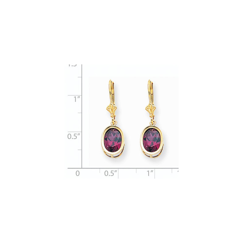 14k Yellow Gold 9x7mm Oval Rhodolite Garnet Leverback Earrings