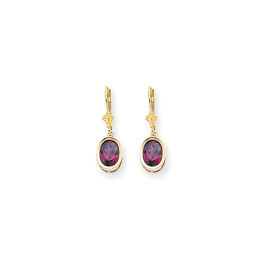 14k Yellow Gold 9x7mm Oval Rhodolite Garnet Leverback Earrings
