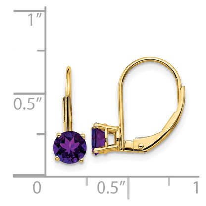 14k Yellow Gold 5mm Amethyst Leverback Earrings