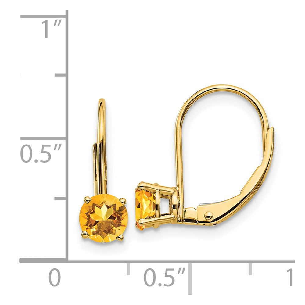 14k Yellow Gold 5mm Citrine Leverback Earrings