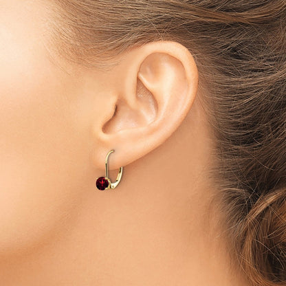14k Yellow Gold 5mm Garnet Leverback Earrings
