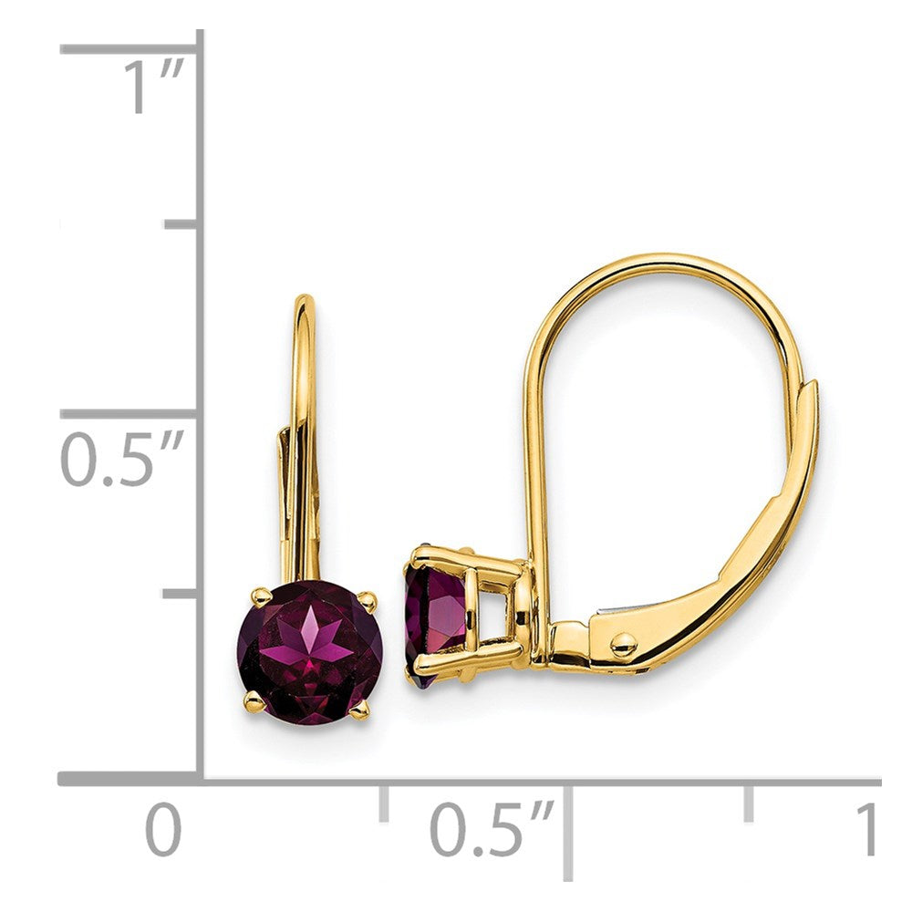 14k Yellow Gold 5mm Rhodolite Garnet Leverback Earrings