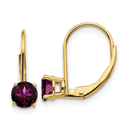 14k Yellow Gold 5mm Rhodolite Garnet Leverback Earrings