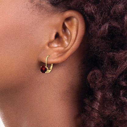 14k Yellow Gold 6mm Garnet Leverback Earrings