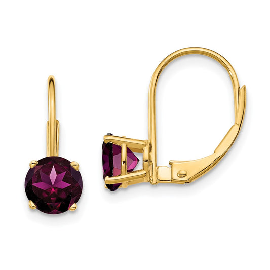 14k Yellow Gold 6mm Rhodolite Garnet Leverback Earrings