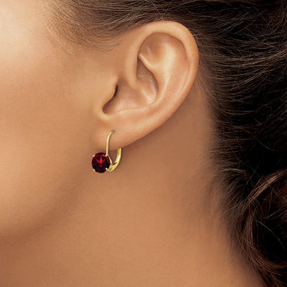 14k Yellow Gold Garnet Round Leverback Earrings