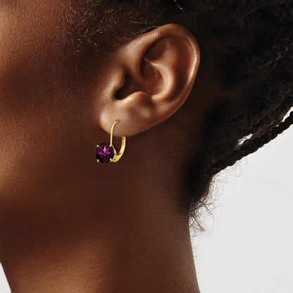14k Yellow Gold 7mm Rhodolite Garnet Leverback Earrings
