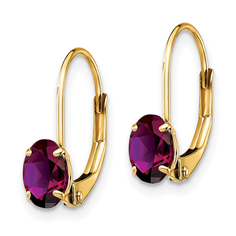 14k Yellow Gold 6x4mm Oval Rhodolite Garnet leverback earring