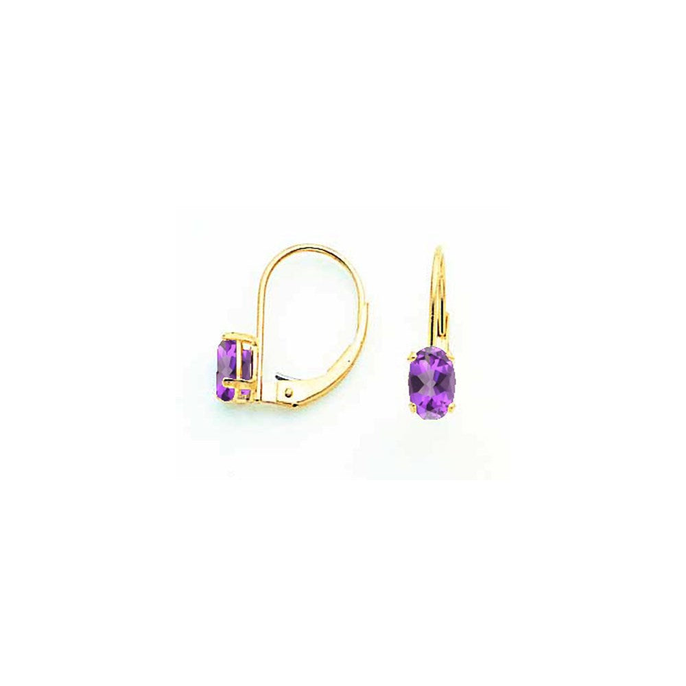 14k Yellow Gold Tsavorite oval leverback Earrings