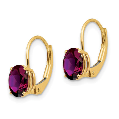 14k Yellow Gold 7x5mm Oval Rhodolite Garnet Leverback Earrings