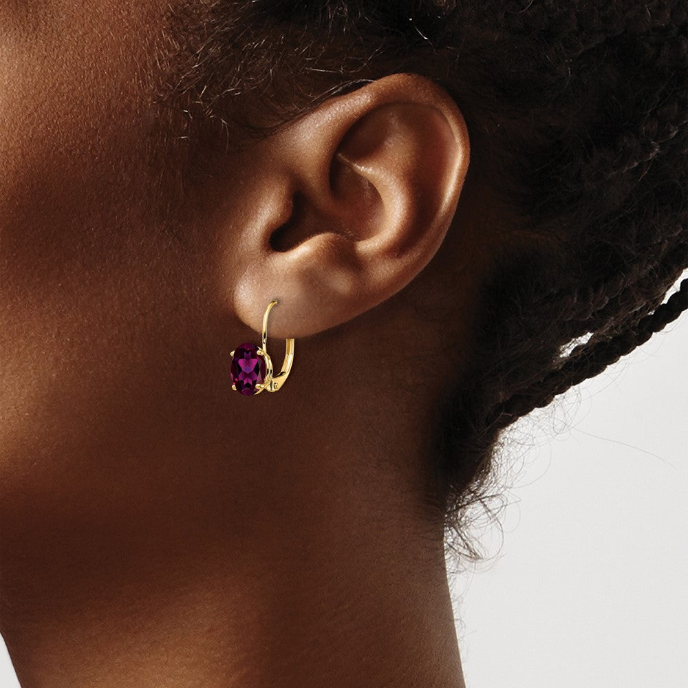 14k Yellow Gold 8x6mm Oval Rhodolite Garnet Leverback Earrings