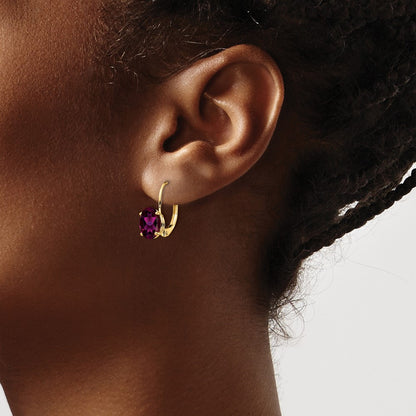14k Yellow Gold 8x6mm Oval Rhodolite Garnet Leverback Earrings