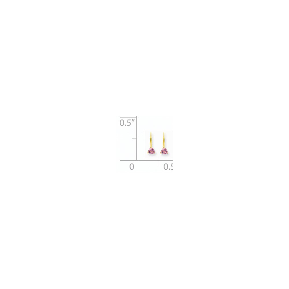 14k Yellow Gold 5mm Pink Tourmaline Leverback Earrings