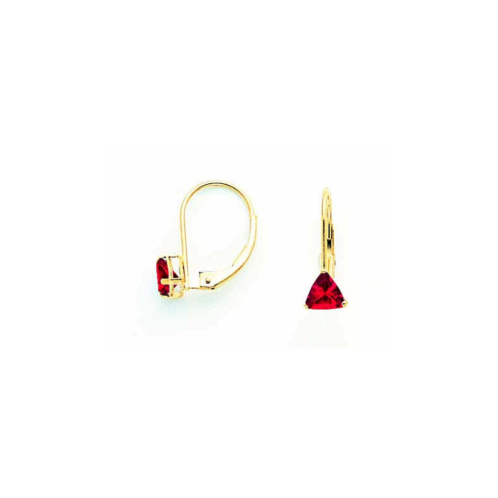 14k Yellow Gold 5mm Ruby leverback Earrings