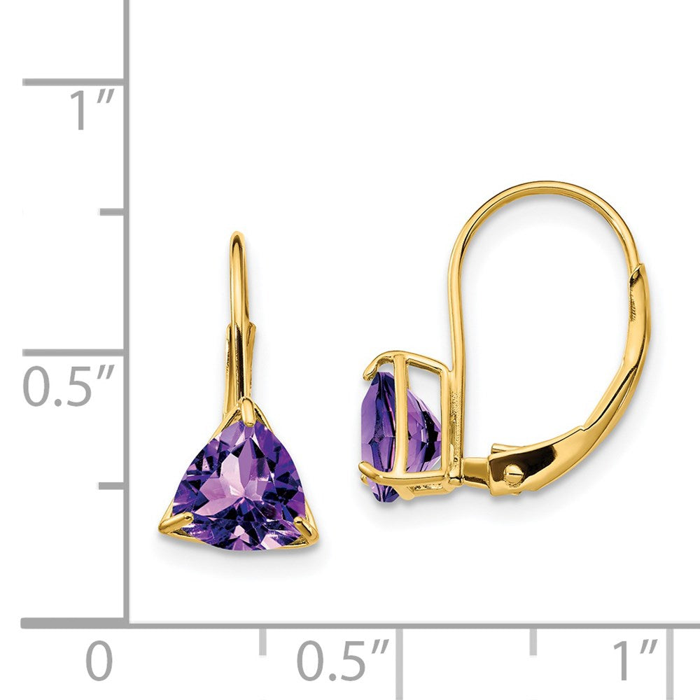 14k Yellow Gold 6mm Trillion Amethyst Leverback Earrings
