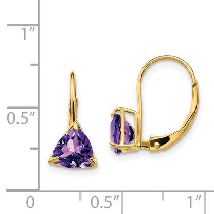 14k Yellow Gold 6mm Trillion Amethyst Leverback Earrings