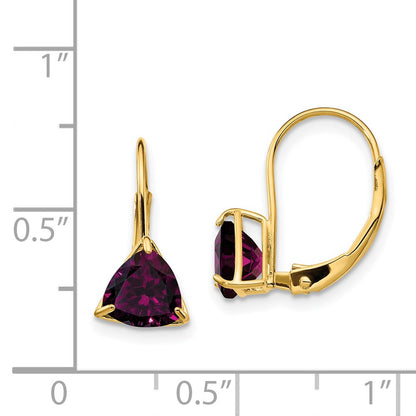 14k Yellow Gold 6mm Rhodolite Garnet Leverback Earrings