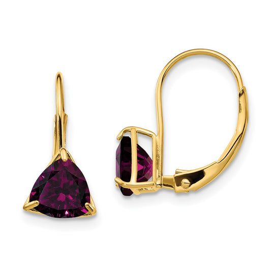 14k Yellow Gold 6mm Rhodolite Garnet Leverback Earrings