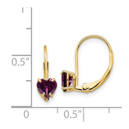 14k Yellow Gold 5mm Heart Rhodolite Garnet Leverback Earrings