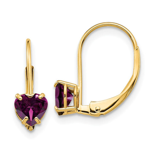 14k Yellow Gold 5mm Heart Rhodolite Garnet Leverback Earrings