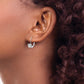 14k White Gold 5mm Heart Cubic Zirconia Leverback Earrings