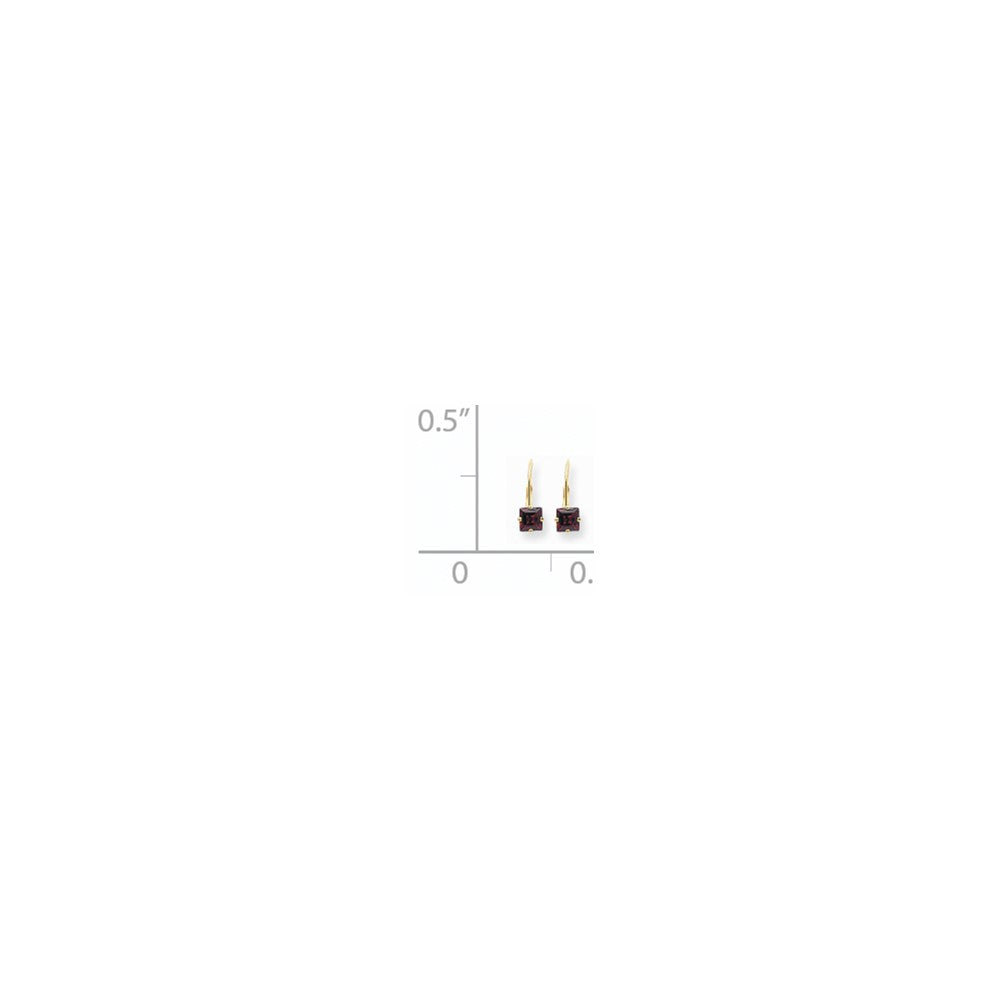 14k Yellow Gold 5mm Princess Cut Rhodolite Garnet Leverback Earrings