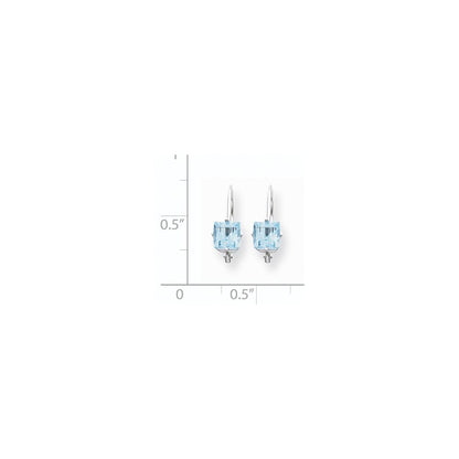 14k White Gold 5mm Princess Cut Blue Topaz Leverback Earrings