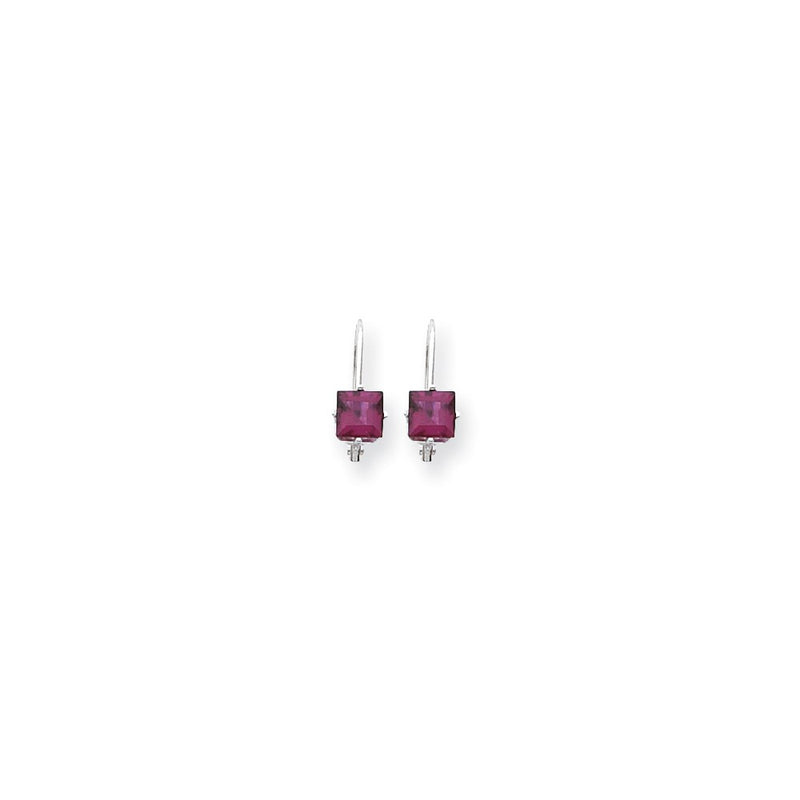 14k White Gold 5mm Rhodolite Garnet Princess Leverback Earrings