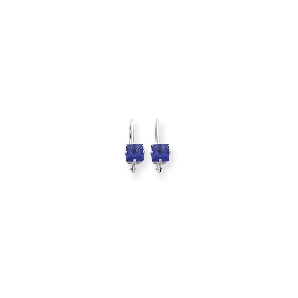 14k White Gold 5mm Princess Cut Tanvorite leverback Earrings
