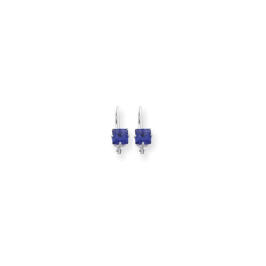 14k White Gold 5mm Princess Cut Tanvorite leverback Earrings