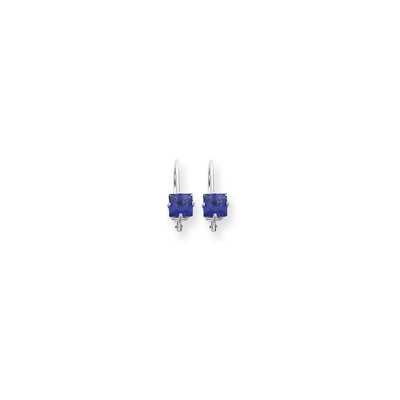 14k White Gold 5mm Princess Cut Tanvorite leverback Earrings