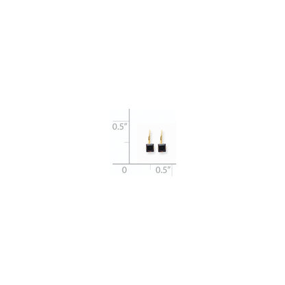 14k Yellow Gold 6mm Princess Cut Garnet Leverback Earrings