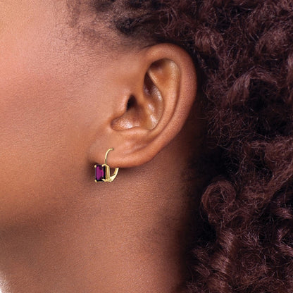 14k Yellow Gold 7x5mm Emerald Cut Rhodolite Garnet Leverback Earrings