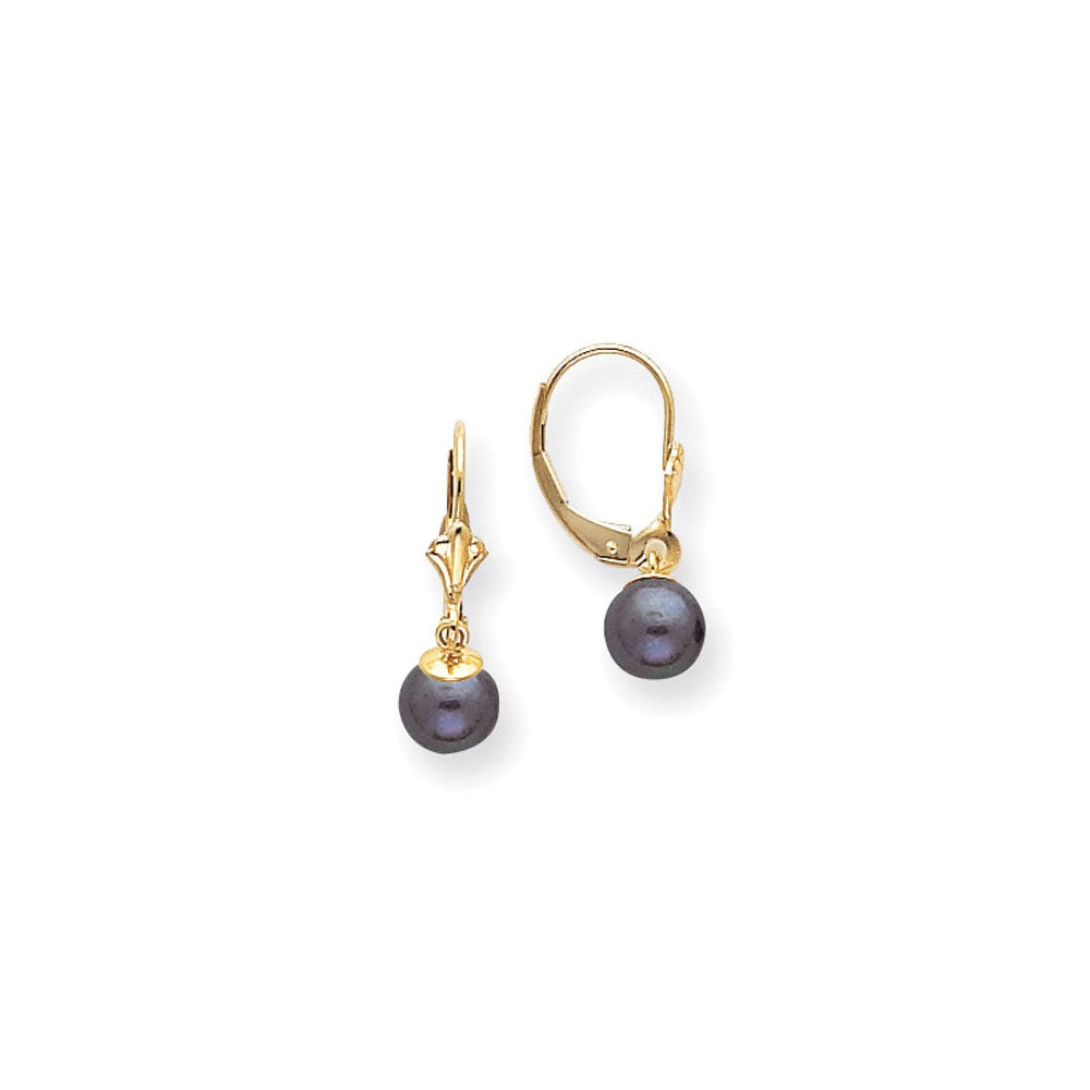 14k Yellow Gold 6-7mm Black Round Leverback Earrings