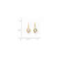 14k Yellow Gold Real Diamond Leverback Earrings XLB15AA