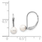 14k White Gold 5-6mm Round Freshwater Cultured Pearl Leverback Earrings