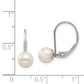 14k White Gold 6-7mm Round Freshwater Cultured Pearl Leverback Earrings