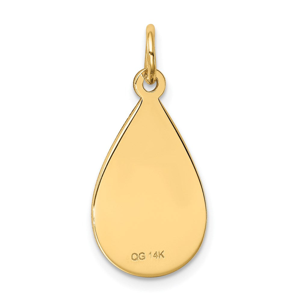 14k Yellow Gold Medical Jewelry Unenameled Pendant
