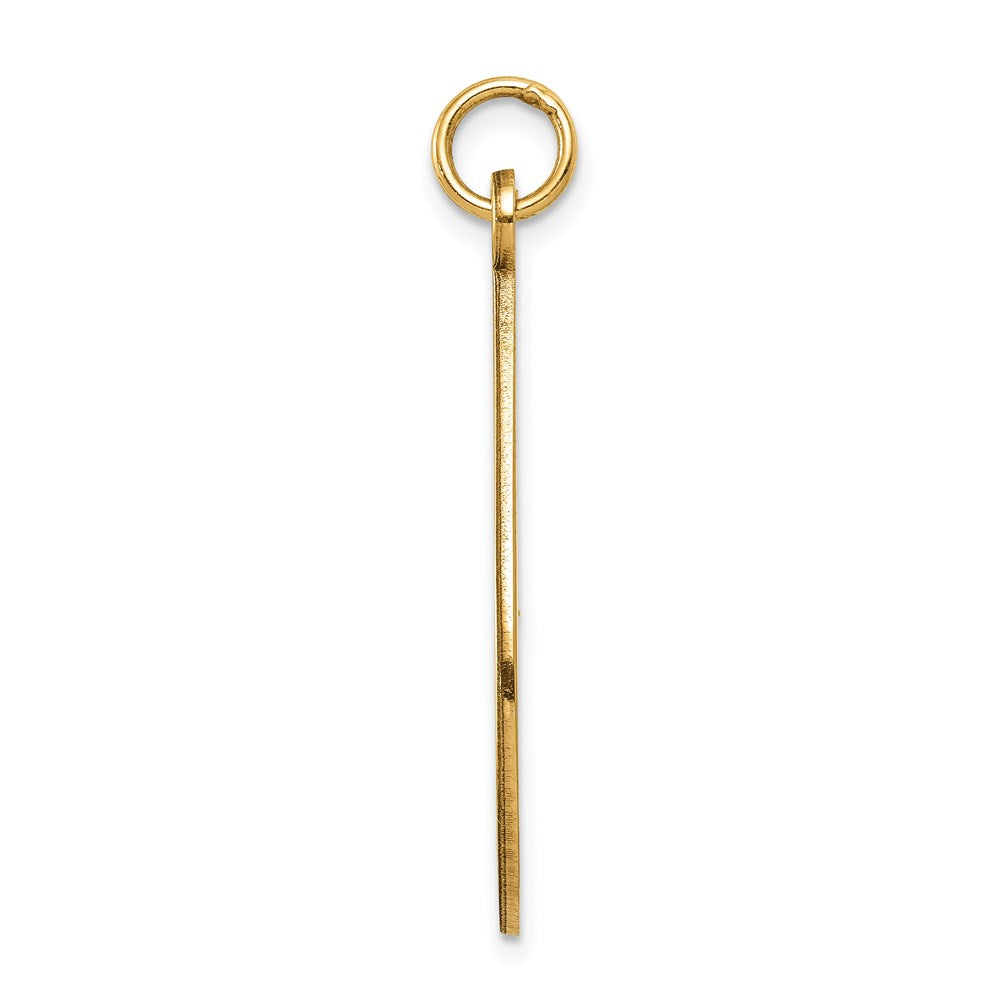 14k Yellow Gold Medical Jewelry Unenameled Pendant