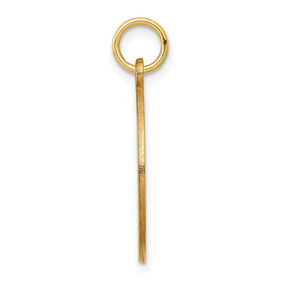 14k Yellow Gold Red Enamel Medical Jewelry Pendant