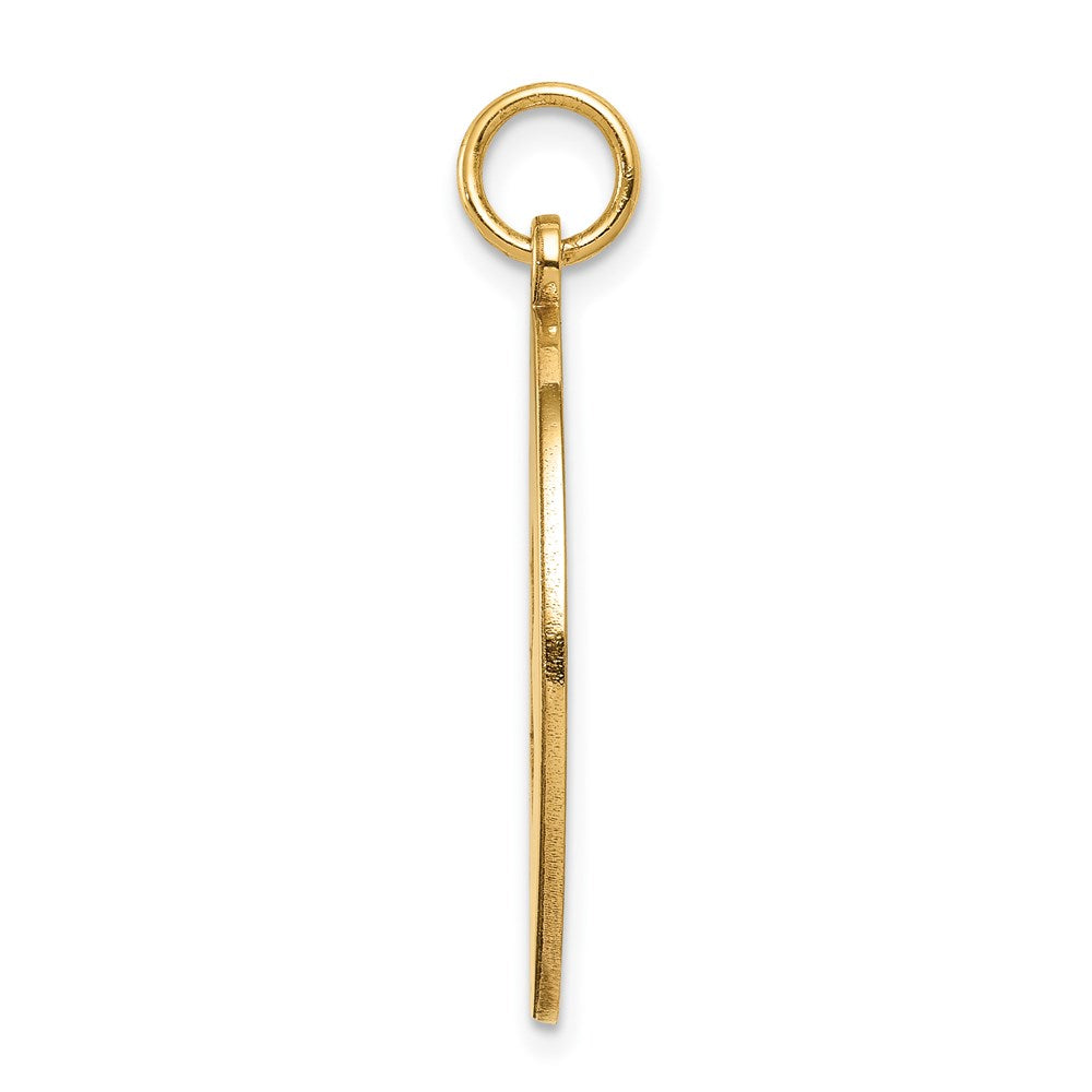 14k Yellow Gold Non-enameled Medical Jewelry Pendant