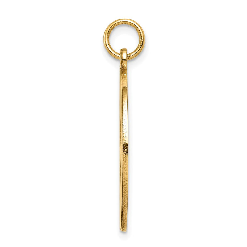 14k Yellow Gold Non-enameled Medical Jewelry Pendant